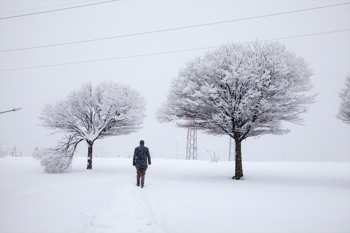 Van, Bitlis, Muş ve Hakkari'de 431 yerleşim yerinin yolu kardan kapandı