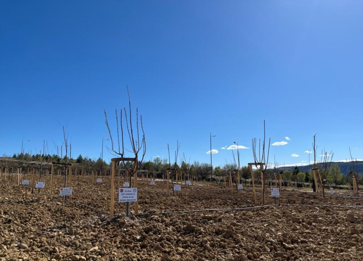 Uluyazı Kampüsü'ne şehitler adına fidan dikildi