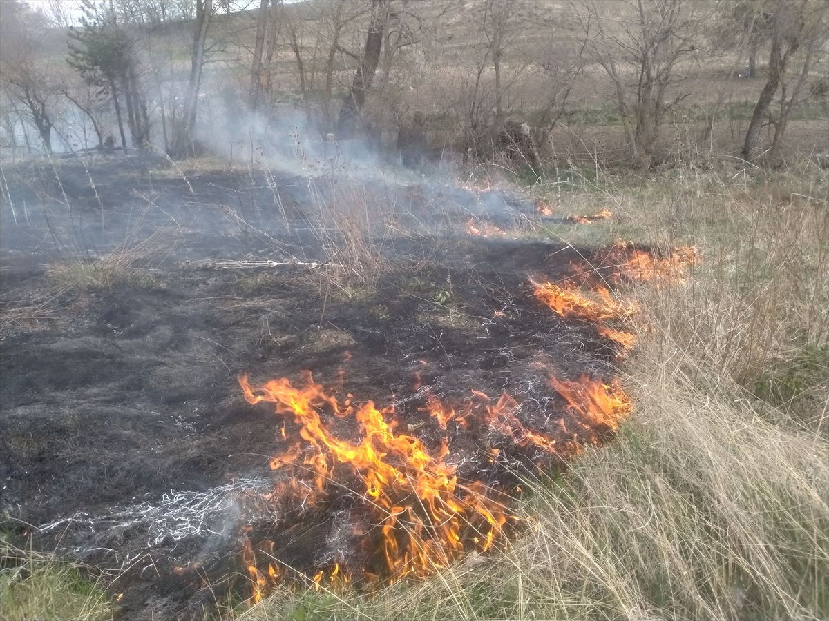 Otları temizlemek için yakılan ateş meyve ağaçlarına zarar verdi