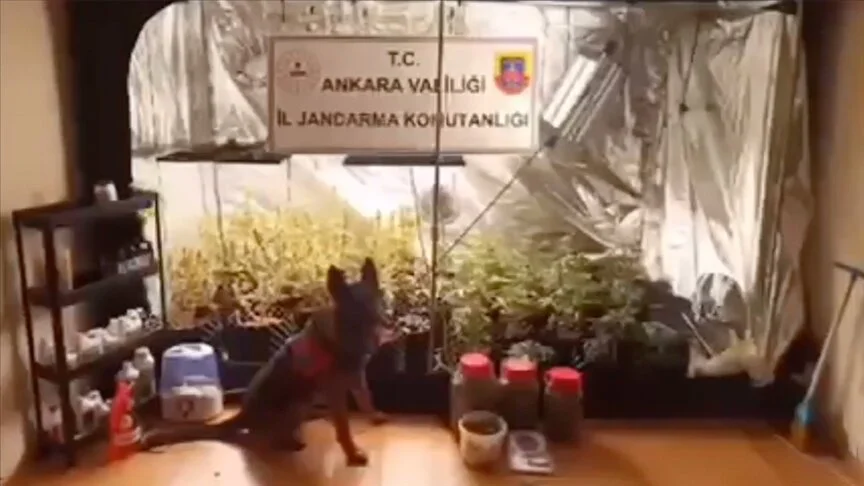 194 şüpheli "Narkoçelik"e takıldı