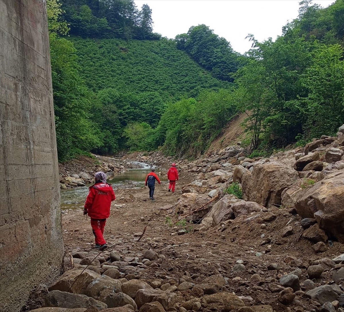 Siste yolunu kaybetti