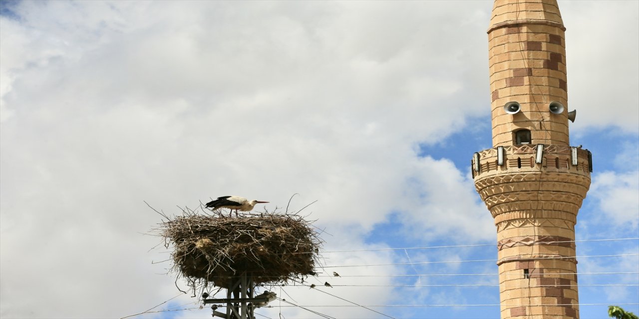 "Orman İşletme Şube Müdürlüğü ekipleri leyleklere yuva yaptırdı ama o yuvayı tercih etmediler""