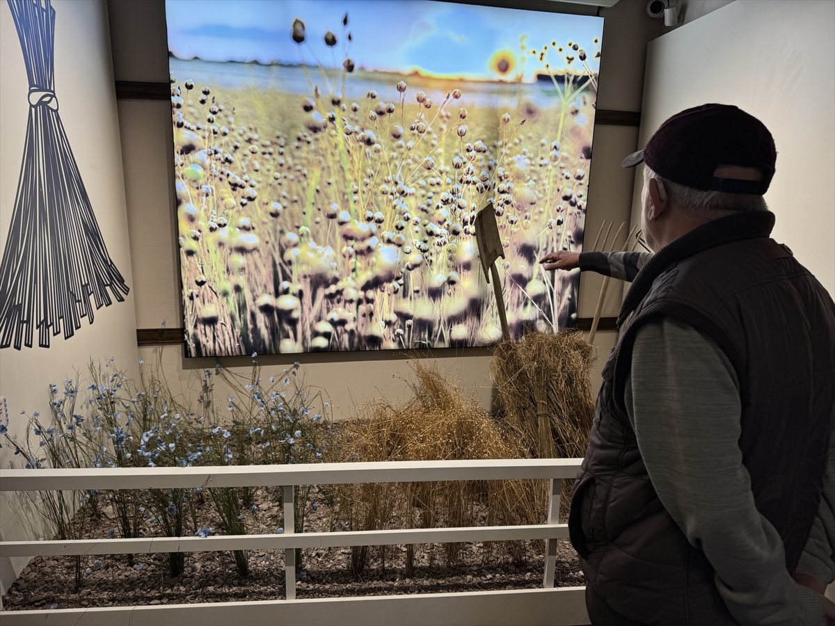 Tarladan vitrine  "keten"