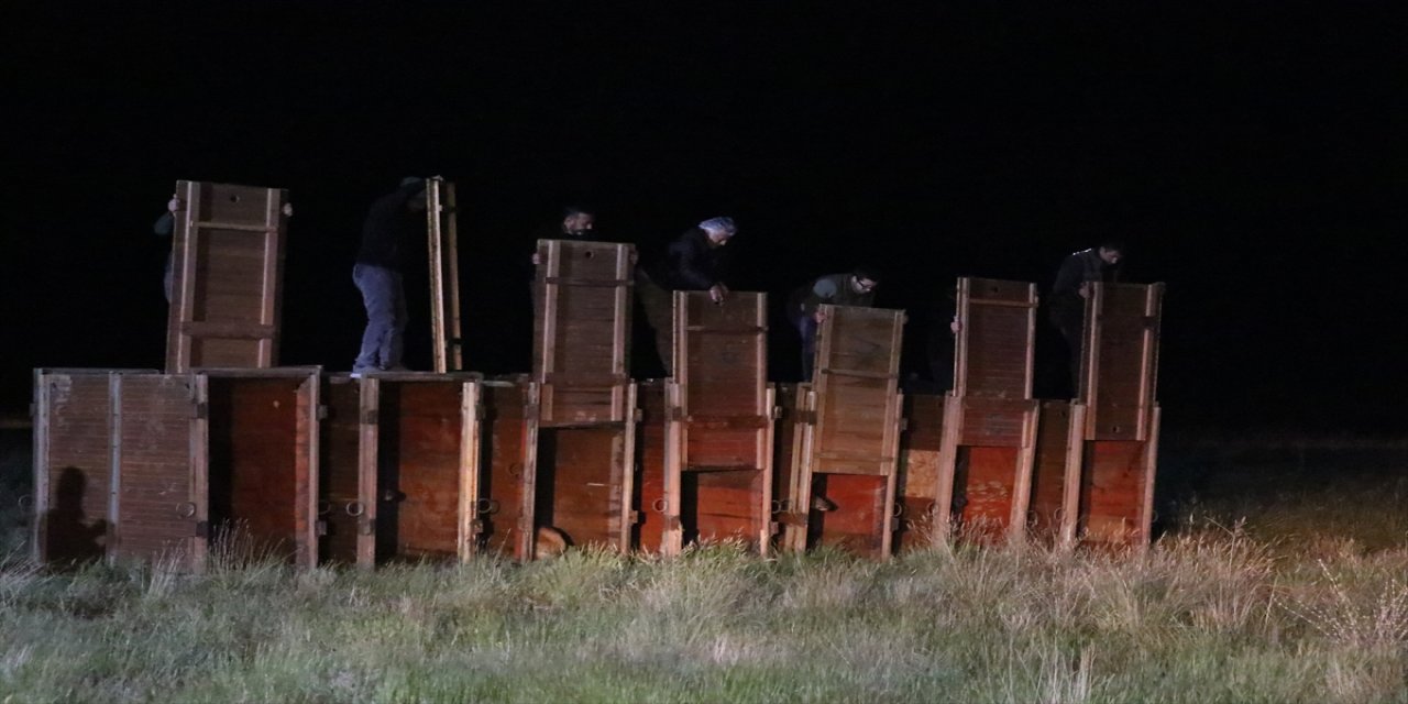 "Nesli Tehlike Altında Olan Türlerin Tekrar Eski Yaşam Alanlarına Geri Kazandırılması Projesi"