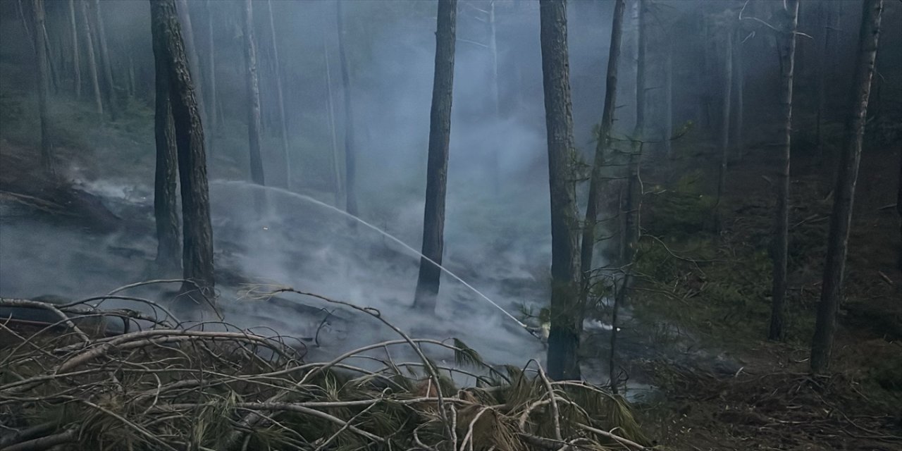 Muğla'nın Menteşe ilçesinde çıkan orman yangını, havadan ve karadan müdahaleyle söndürüldü.
