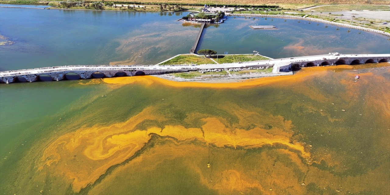 Büyükçekmece'de denizde oluşan alg (yosun) yoğunluğu dronla görüntülendi.