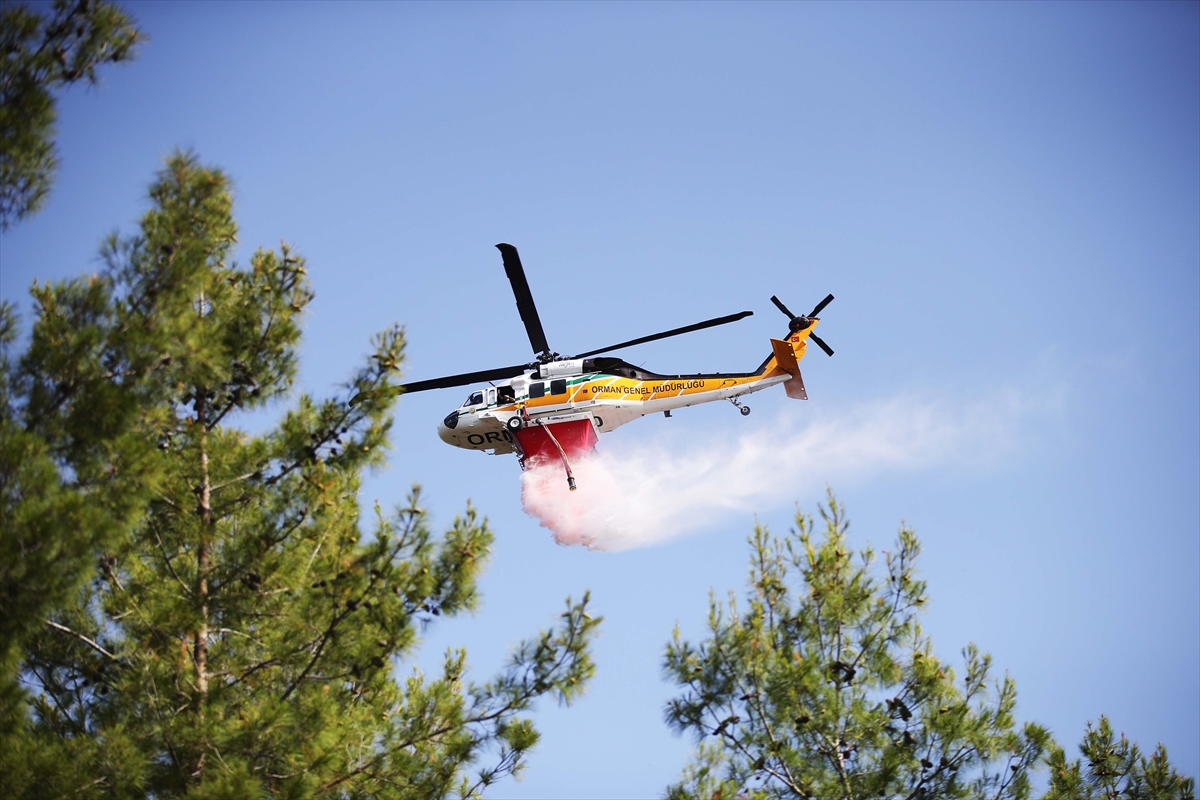 Milas’da çıkan orman yangını söndürüldü