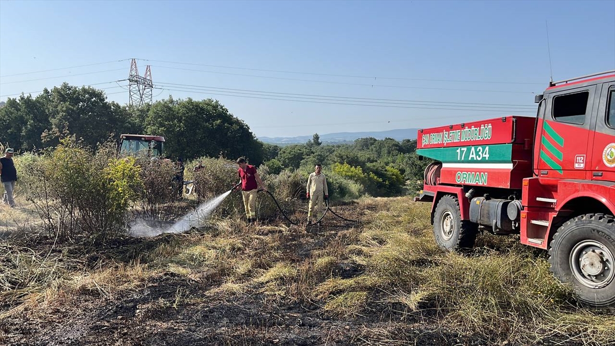 Çanakkale'de çıkan anız yangını söndürüldü