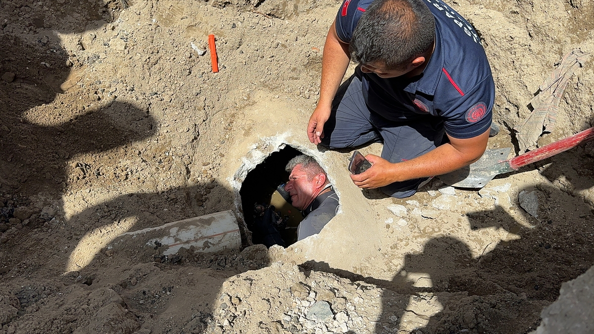 Isparta'da yavru köpek operasyonu