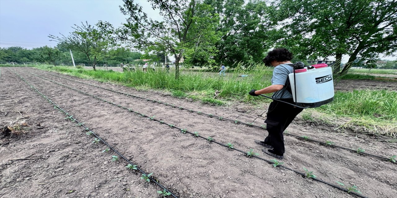 "Kuruluş tarihimiz çok yeni ama faaliyetlerimiz hızla devam ediyor."