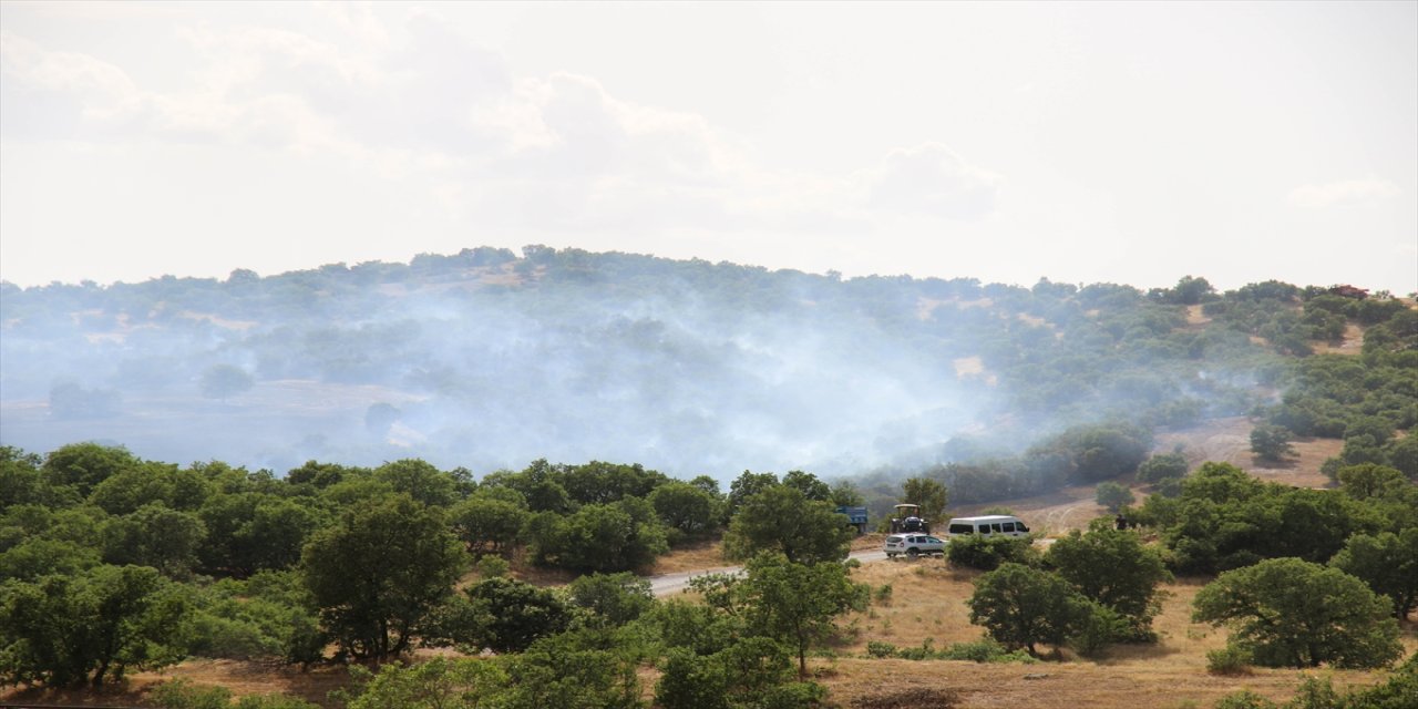 Uşak'ta arpa tarlasında başlayıp meşelik alana sıçrayan yangında 4 hektar alan zarar gördü.