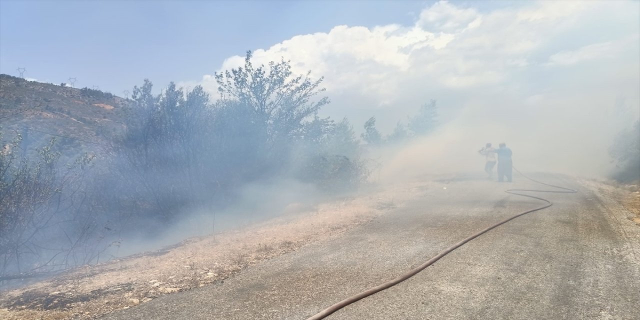 Mersin'in Gülnar ilçesinde çıkan orman yangını kontrol altına alındı.