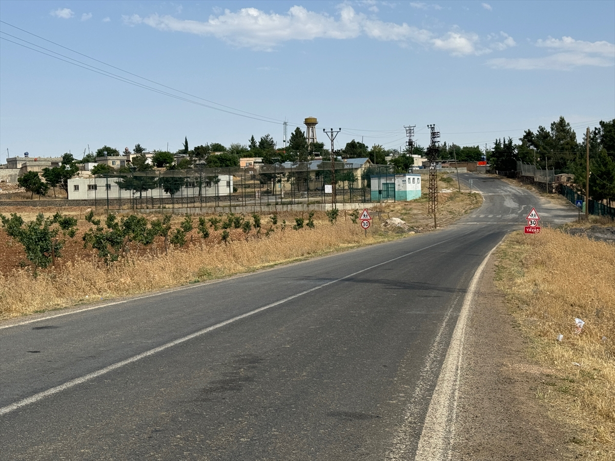 Şanlıurfa'da 2 mahalle kuduz nedeniyle karantinaya alındı