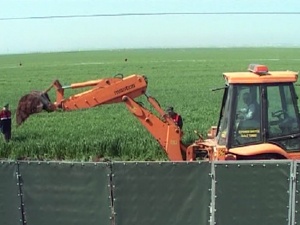 Ceylan’ın elindeki orak, silah mı sanıldı?