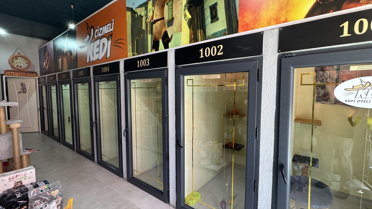Evcil hayvan otelinde rezervasyonlar doldu