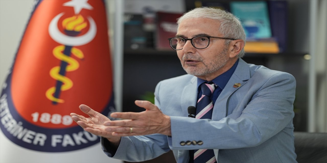 Yüzde 80'inini kısırlaştıramıyorsanız sayı yukarı gidiyor