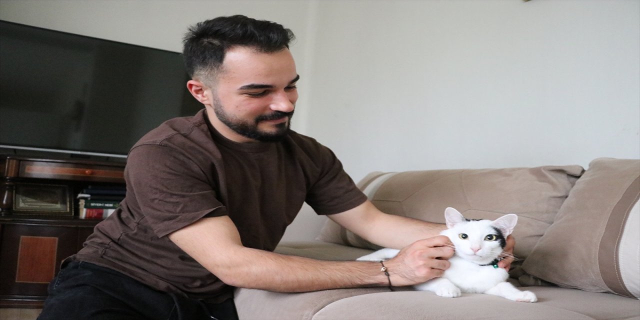 "Sahipsiz bir canla ilgilenmek zor bir şey değil, keyifli çünkü onların sevgisi karşılıksız."