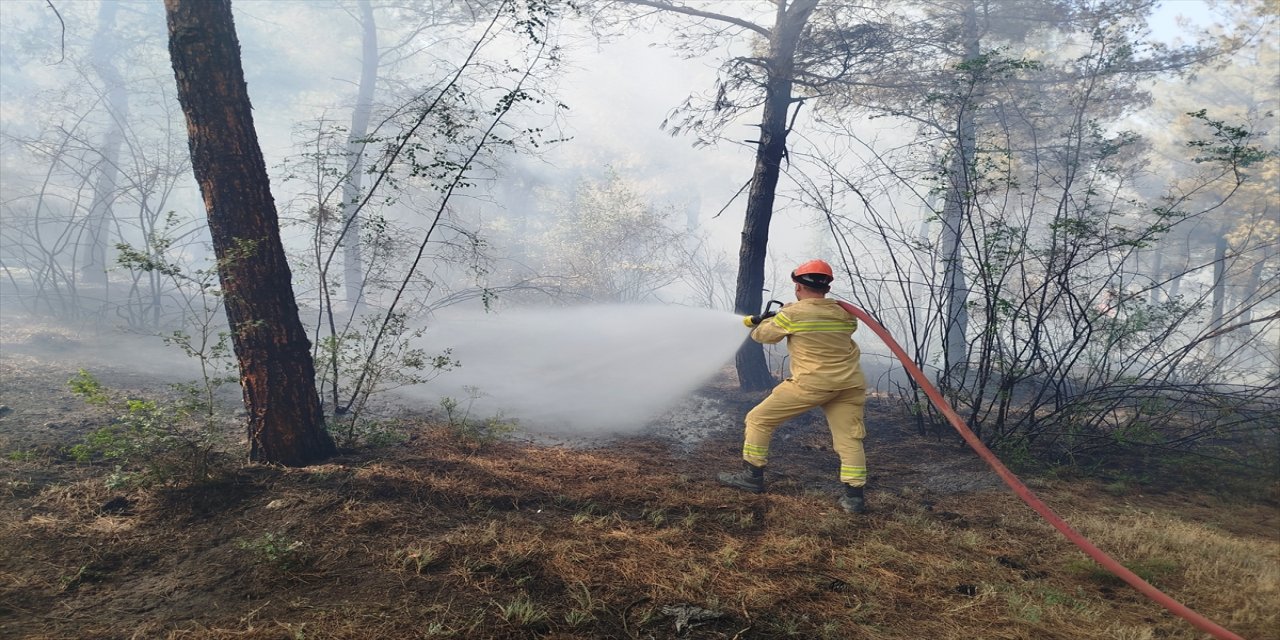 Sinop'un Boyabat ilçesinde çıkan orman yangını söndürüldü.