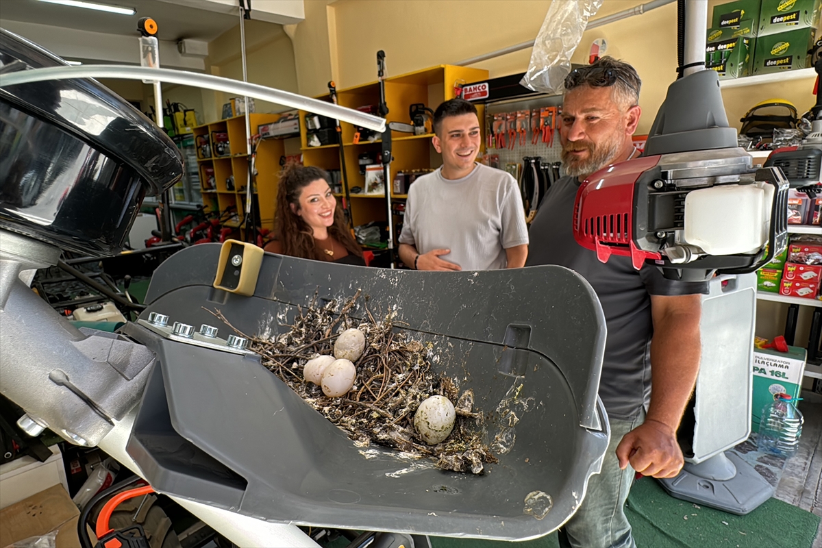 Kumrular yüzünden tarım aletini satamıyor