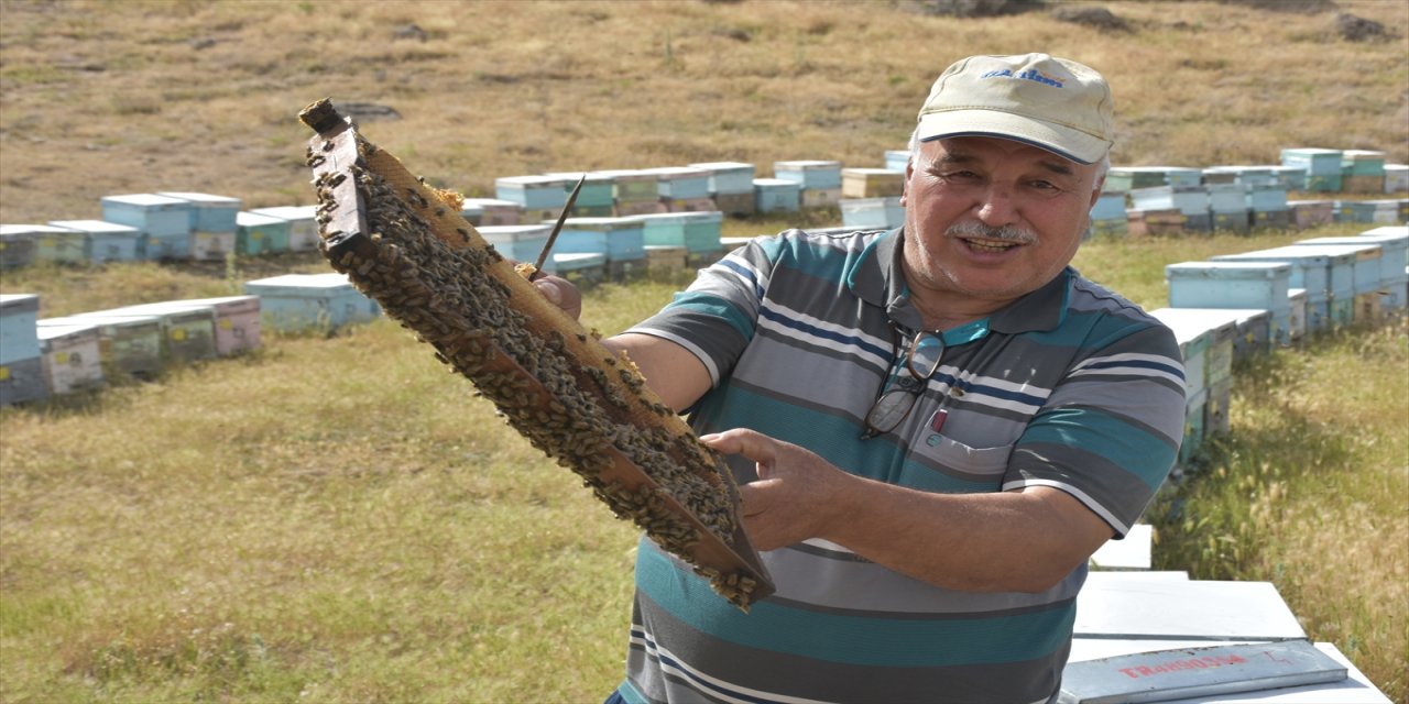 "Buranın bitki örtüsünü ezberledik, arıcılığı bırakana kadar buradayız"