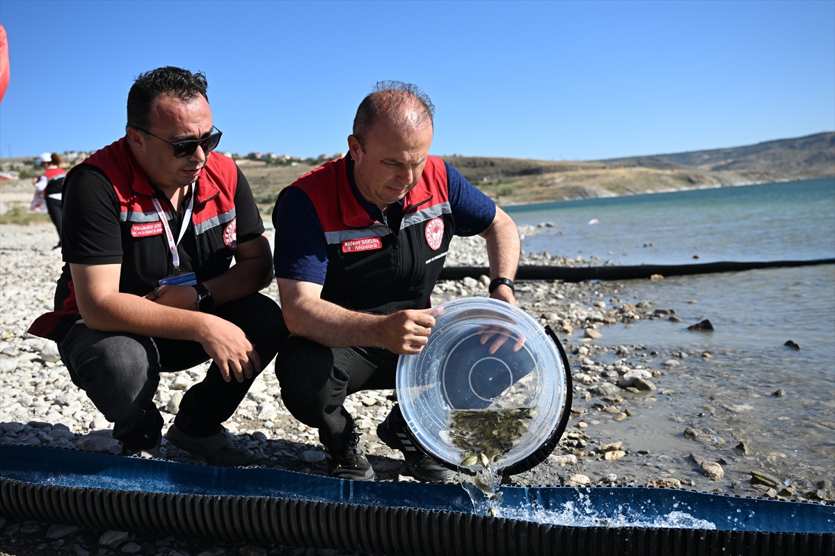 Kayseri'de 16 göl ve gölete 1,5 milyon yavru balık bırakıldı