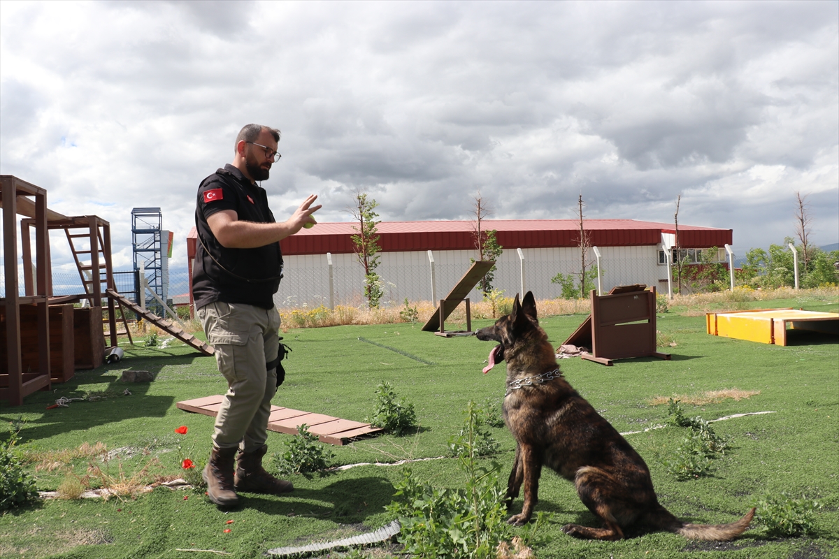 Ego, arama kurtarmada kahraman olmaya hazırlanıyor