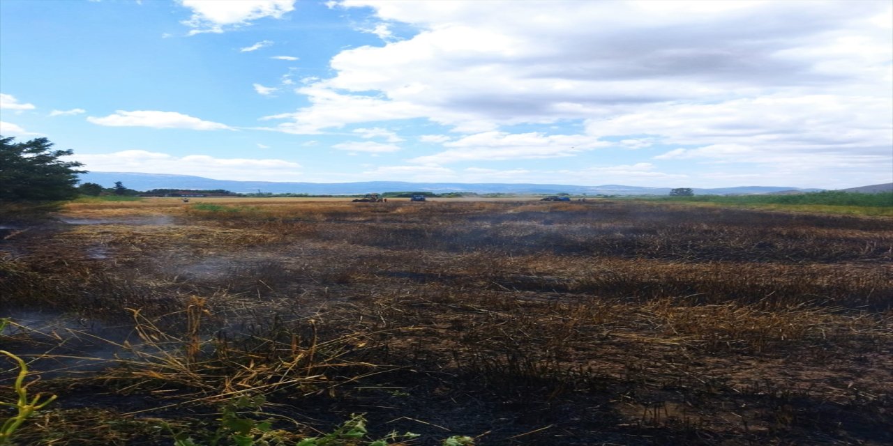 Tokat'ın Turhal ilçesinde buğday ekili arazide çıkan yangın söndürüldü.