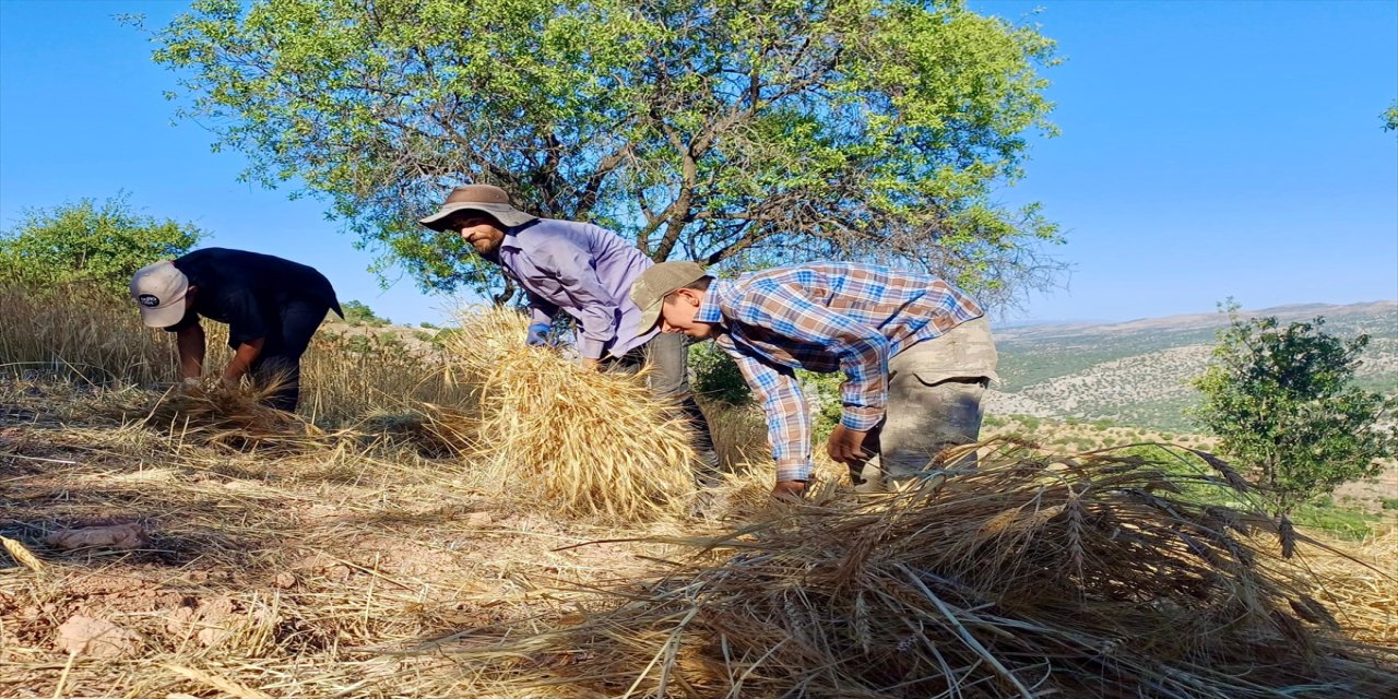 "Köyümüzde kaldık ve hiçbir yere gitmedik. Hayatımızı köyde sürdürüyoruz."