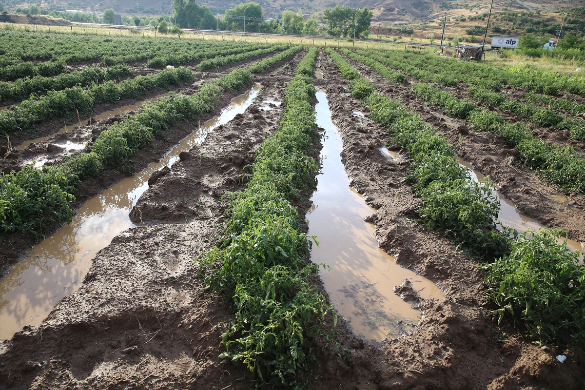 Bingöl'de dolu sebze ve meyve ekili arazide zarara yol açtı