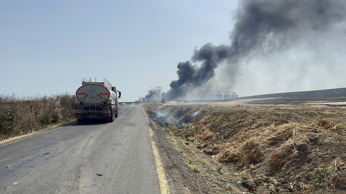 Çorlu’da çıkan tarla yangını söndürüldü