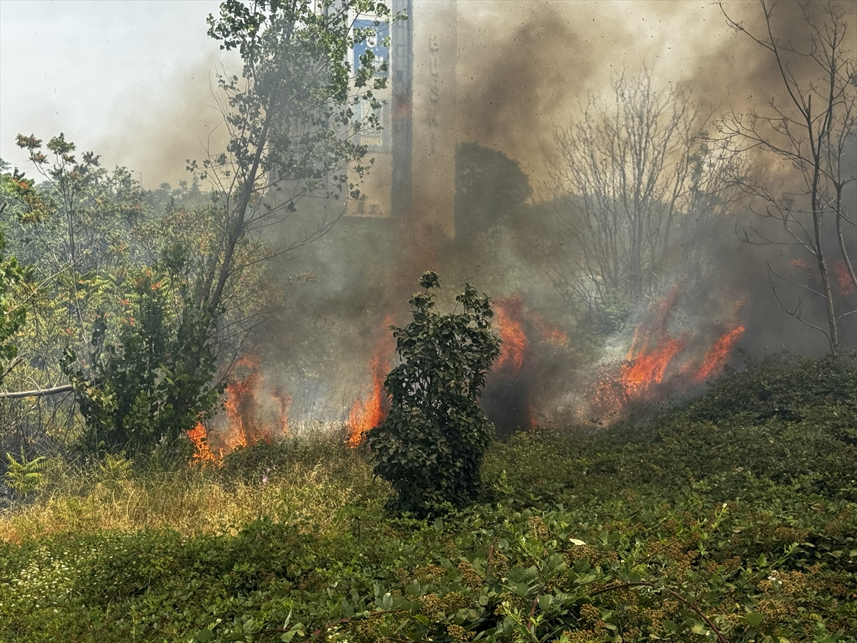 Bursa'da ağaçlık alanda çıkan yangın söndürüldü
