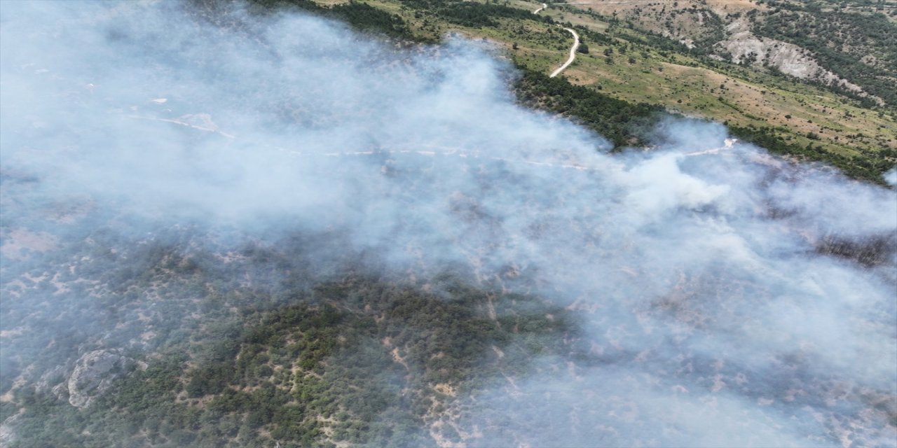 Karabük'ün Ovacık ilçesinde çıkan orman yangınına müdahale ediliyor.