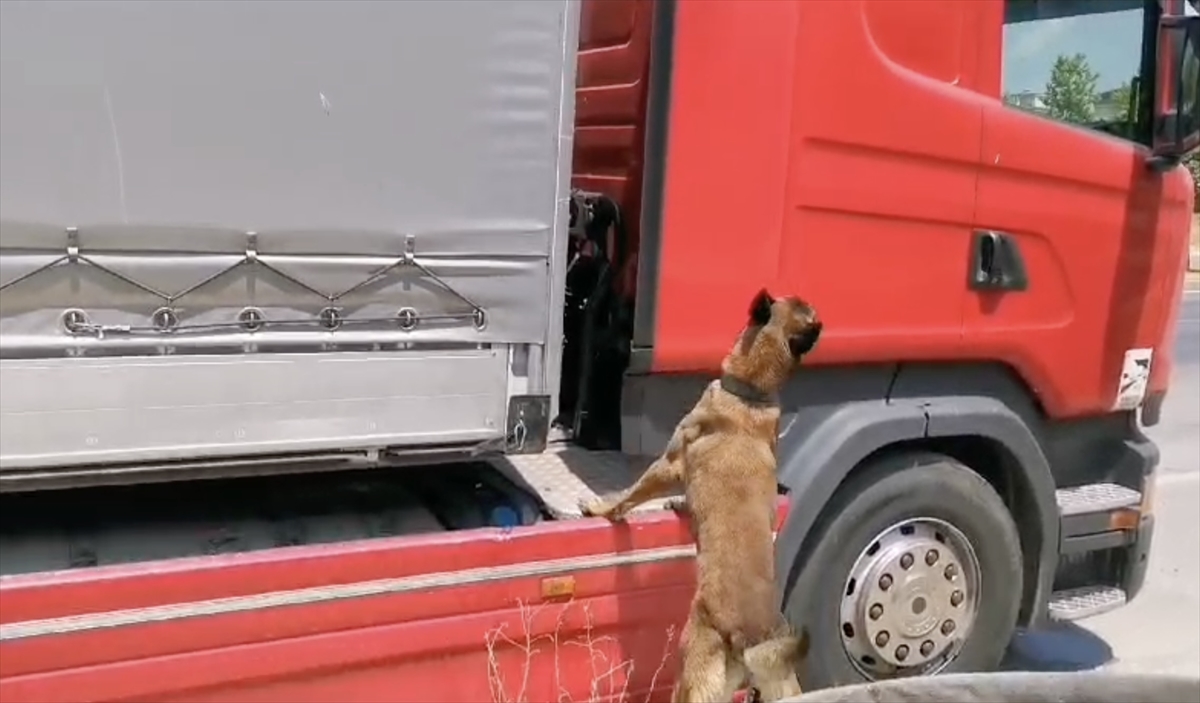 "Hektör"ün hassas burnu yine geçit vermedi