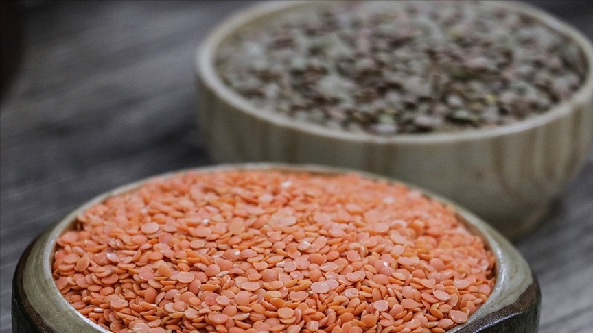 Hububat ihracatımız artıyor