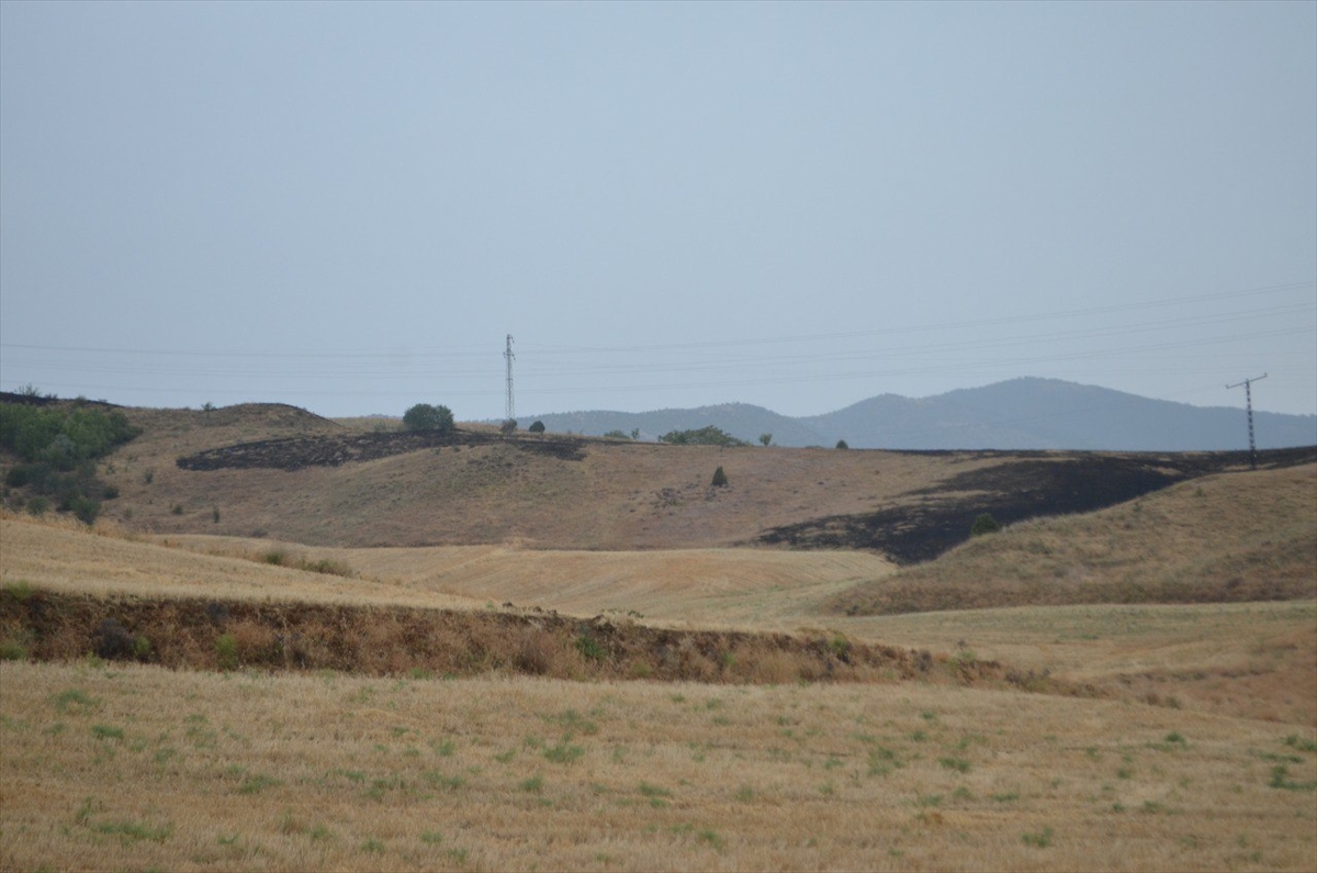 Çorum'da yıldırım düşmesi sonucu 2 ayrı noktada yangın çıktı