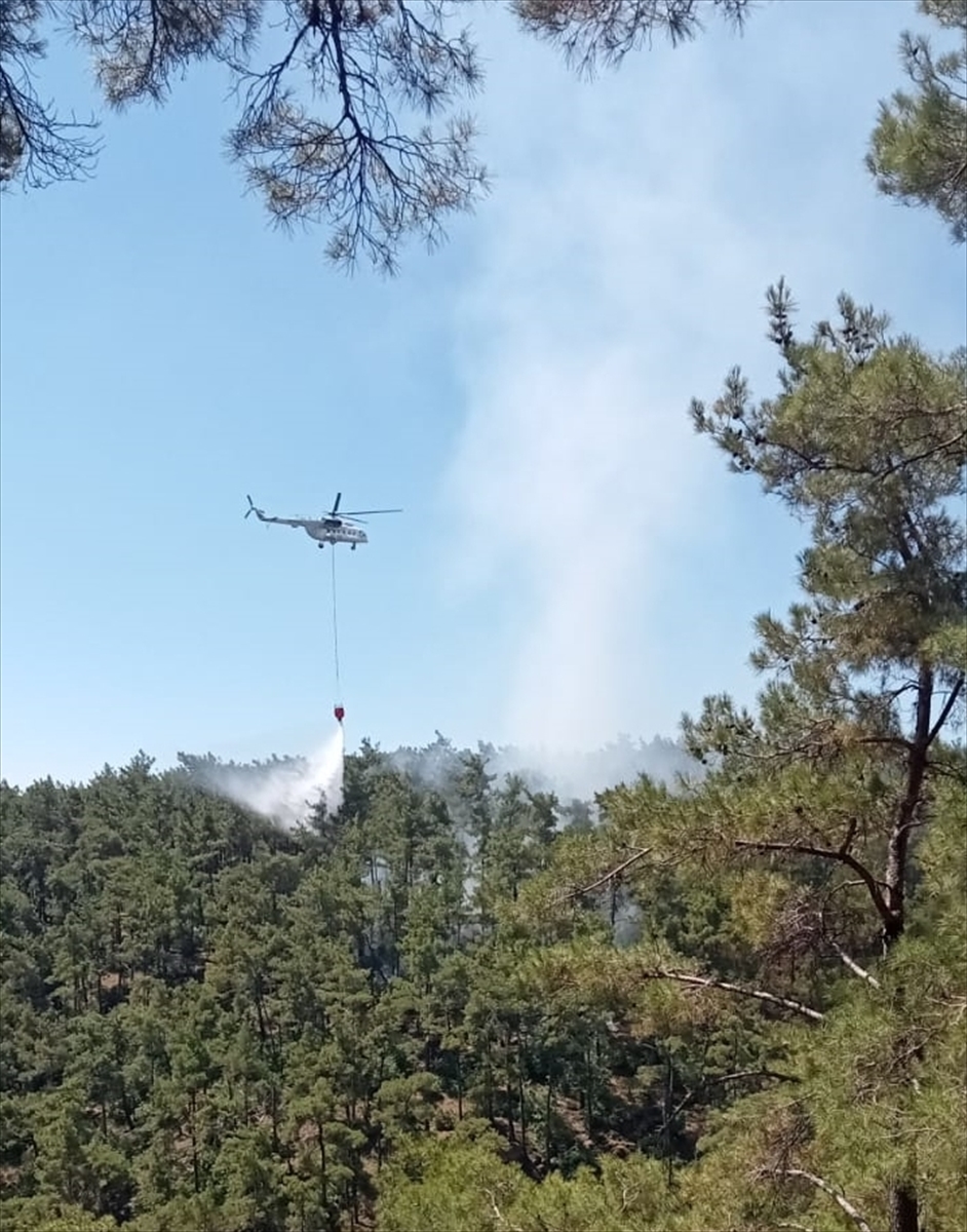 Muğla'da ormanlık alanda çıkan yangın söndürüldü