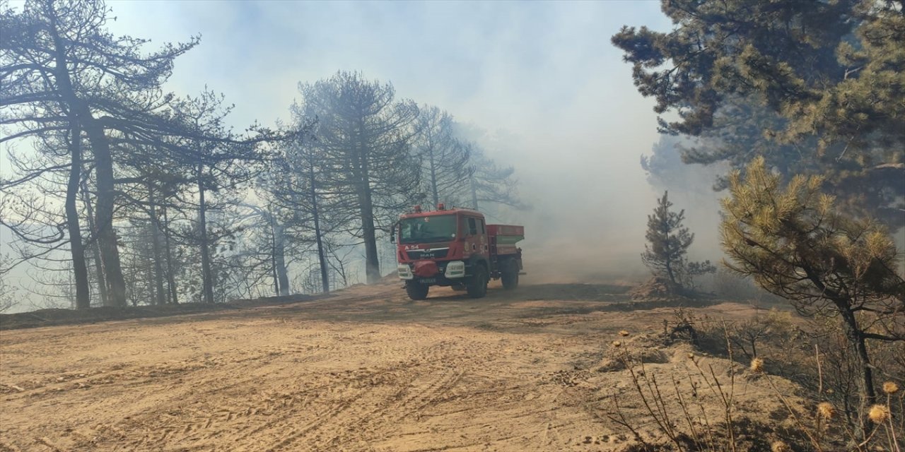 İzmir'in Ödemiş ilçesinde çıkan orman yangını kontrol altına alındı.