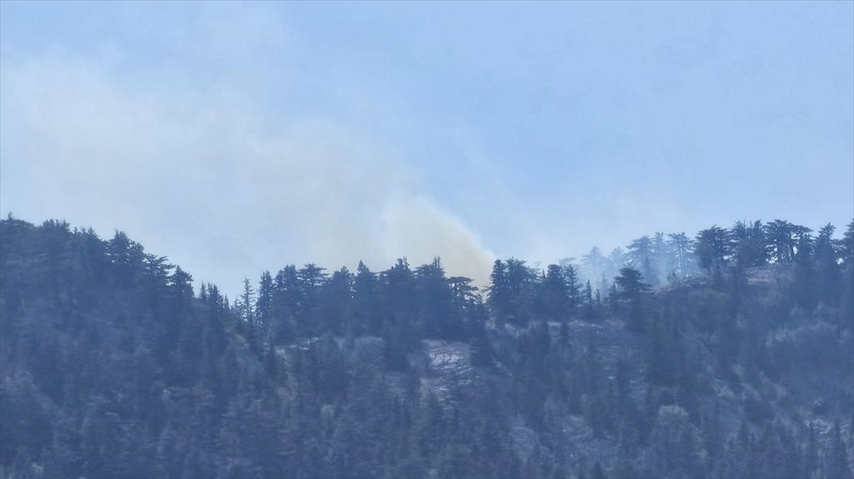 Akseki'de orman yangını çıktı