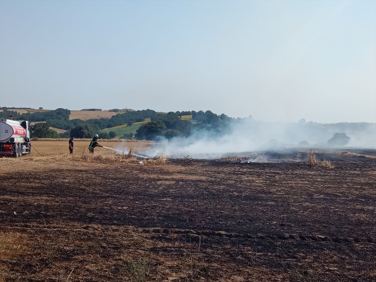 Çerkezköy'de çıkan anız yangını söndürüldü