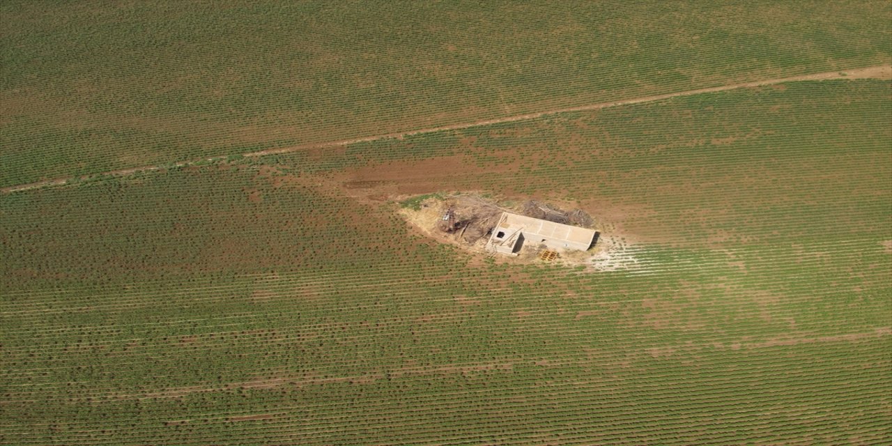 "Enerji şebekesine ve ülke ekonomisine ciddi ölçüde zarar veren bu durumla mücadelemiz kararlılıkla devam edecek."