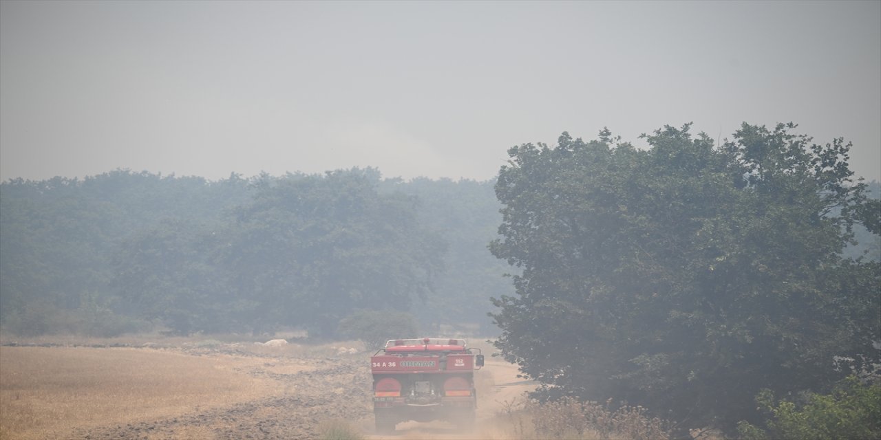 Edirne'nin Lalapaşa ilçesinde Bulgaristan sınırındaki yangına ekipler müdahale ediyor.