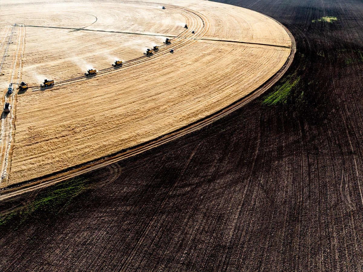 Konya'nın devasa dairesel tarlalarında hasat mesaisi tamamlandı