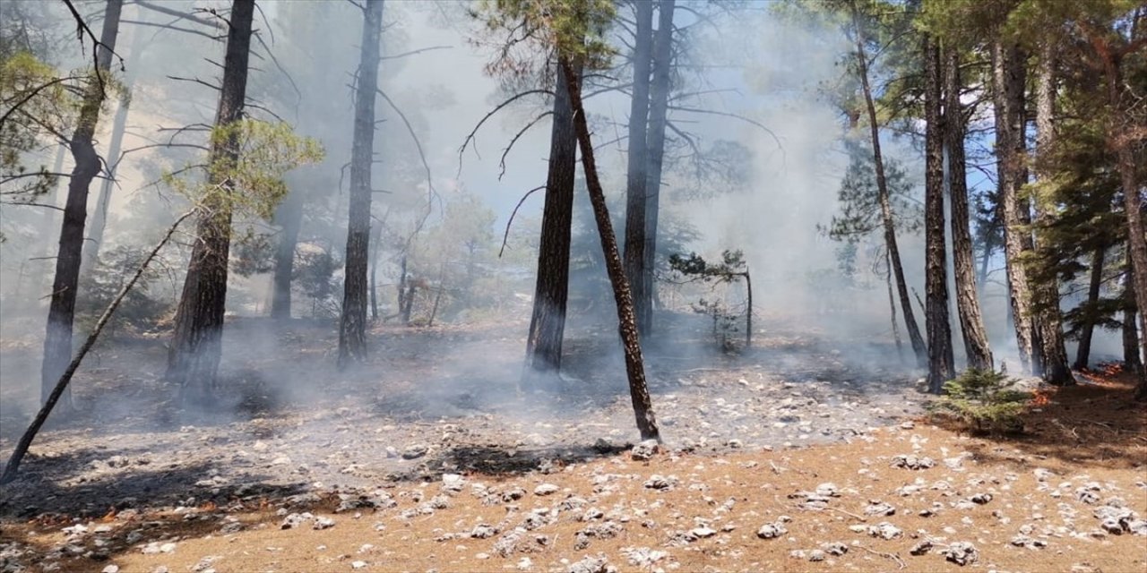Mersin'in Bozyazı ilçesinde yıldırım isabet eden ormanlık alanda çıkan yangın söndürüldü.