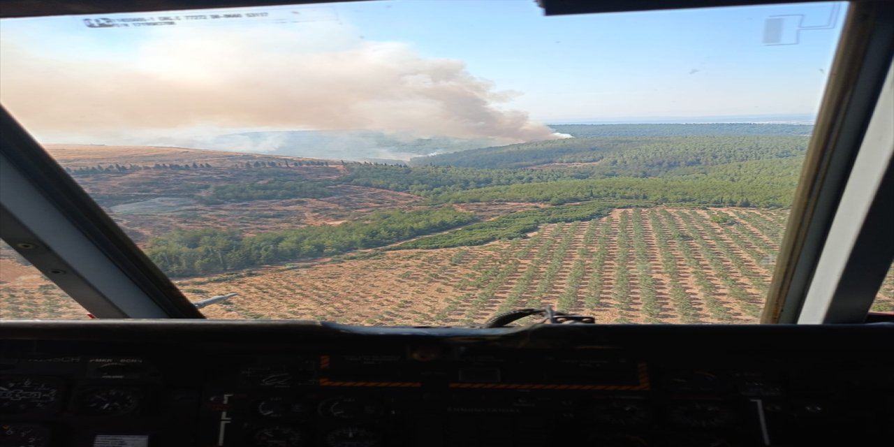 İzmir'in Menderes ilçesinde çıkan orman yangınına müdahale ediliyor.