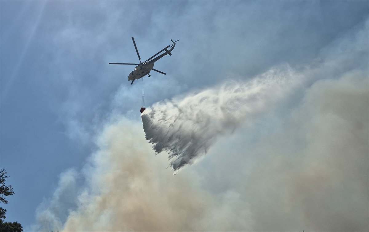 Manisa Turgutlu'da ormana sıçrayan yangına müdahale ediliyor