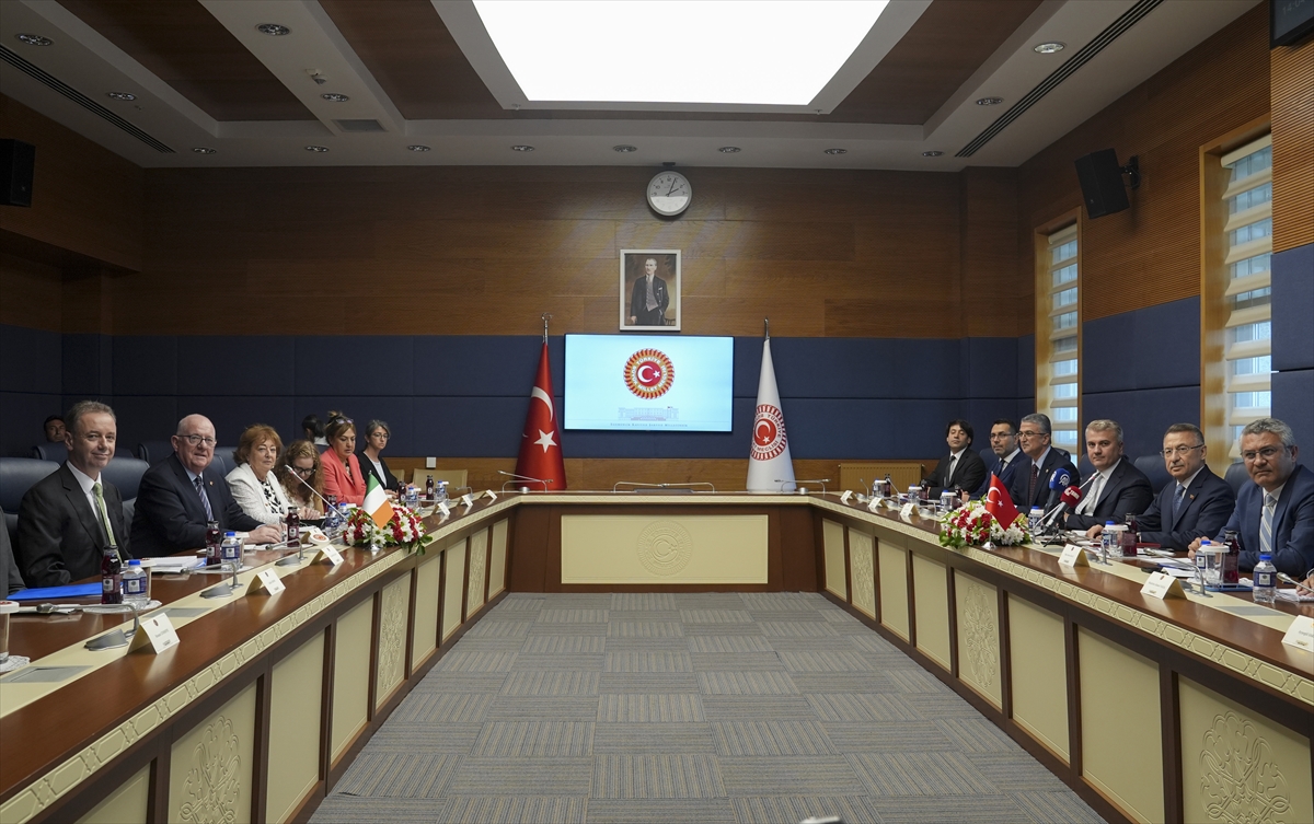 TBMM Dışişleri Komisyonu Başkanı Oktay, İrlandalı mevkidaşı ile görüştü