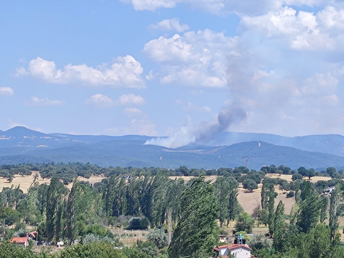 Kütahya'da ormanlık alanda çıkan yangına müdahale ediliyor