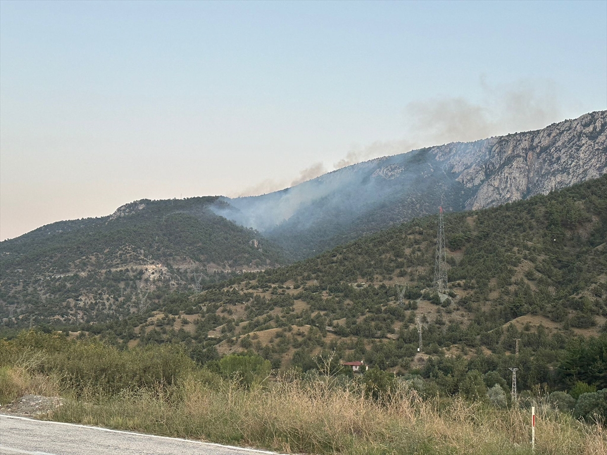Çorum'da çıkan orman yangınına müdahale ediliyor