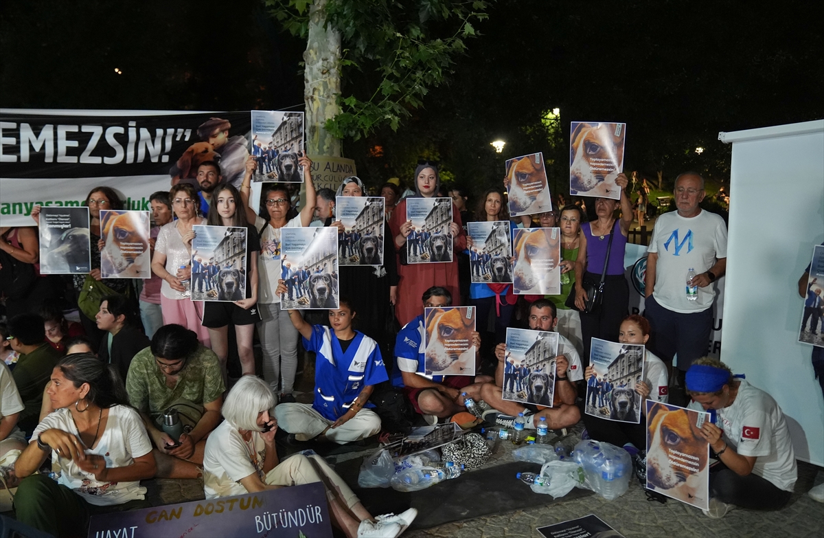 Ankara’da , sahipsiz hayvanlara yönelik kanun teklifi protesto edildi