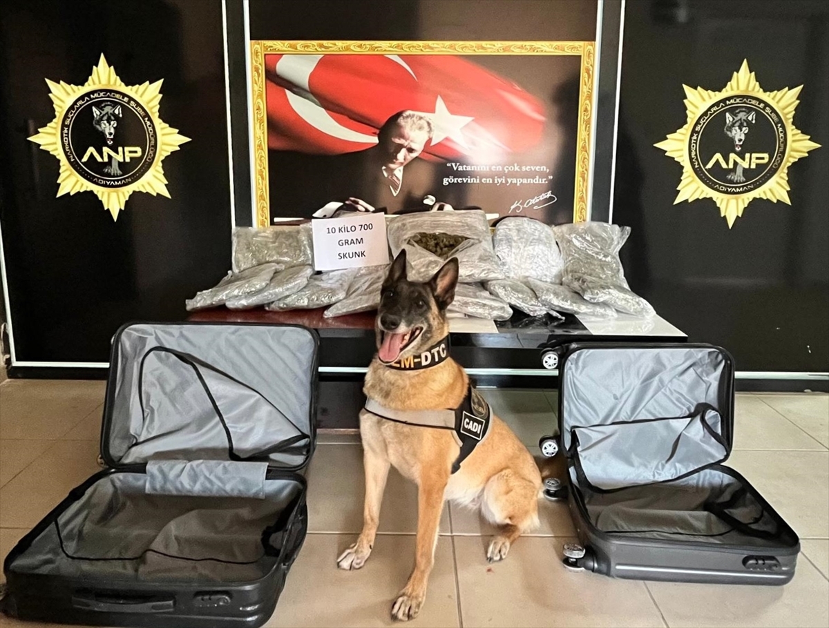 Adıyaman'da 10 kilo 700 gram skunk ele geçirildi